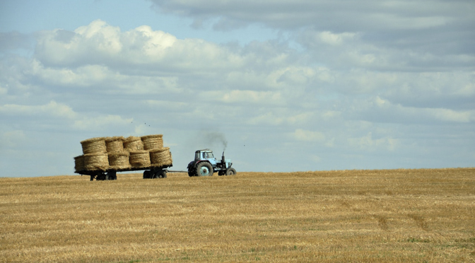 Landwirtschaft
